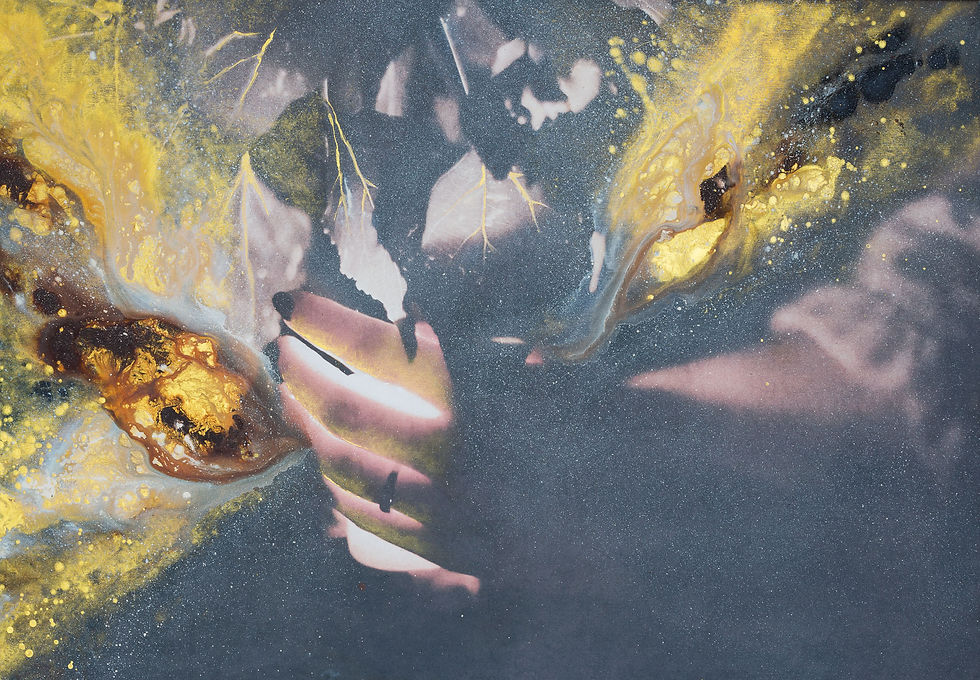 The giving. 2019