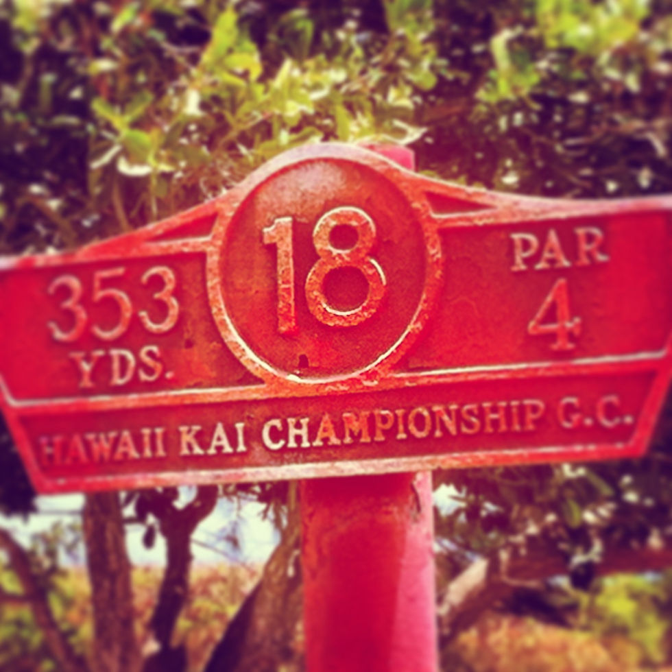 hawaii11.JPG