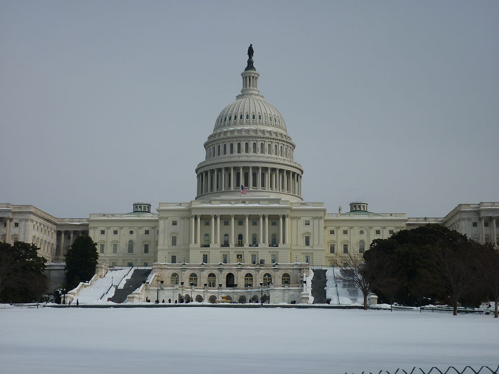 washington9.jpg