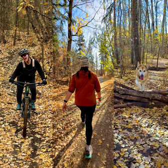 From left to right, a person on a mountain bike, a person walking in the fall, and a very cute husky/beagle/corgi cross dog jumping over some logs