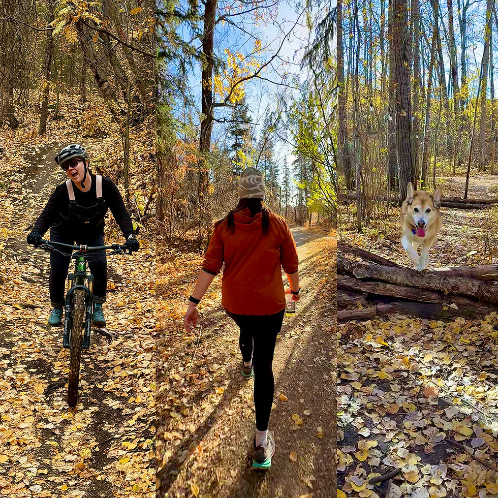 From left to right, a person on a mountain bike, a person walking in the fall, and a very cute husky/beagle/corgi cross dog jumping over some logs