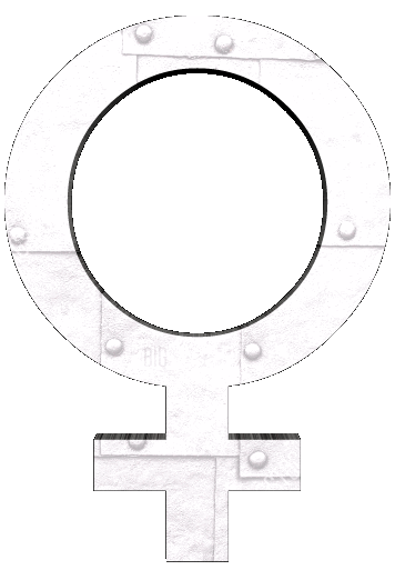 FEM.gif