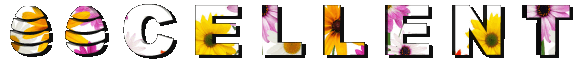 EXC.gif