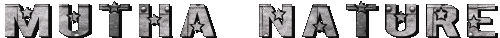 MN.gif