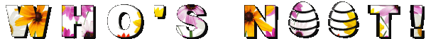 WN.gif