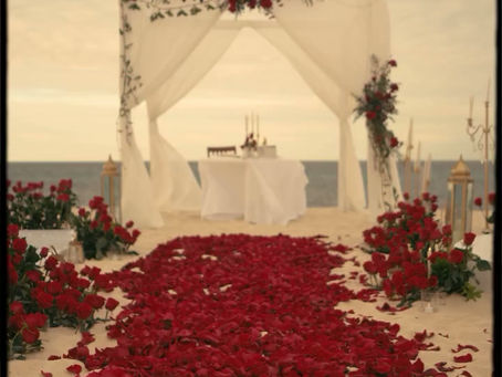 Cabo Beach Proposal FAQ: Everything You Need to Know