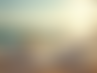 Cabo Beach Proposal FAQ: Everything You Need to Know