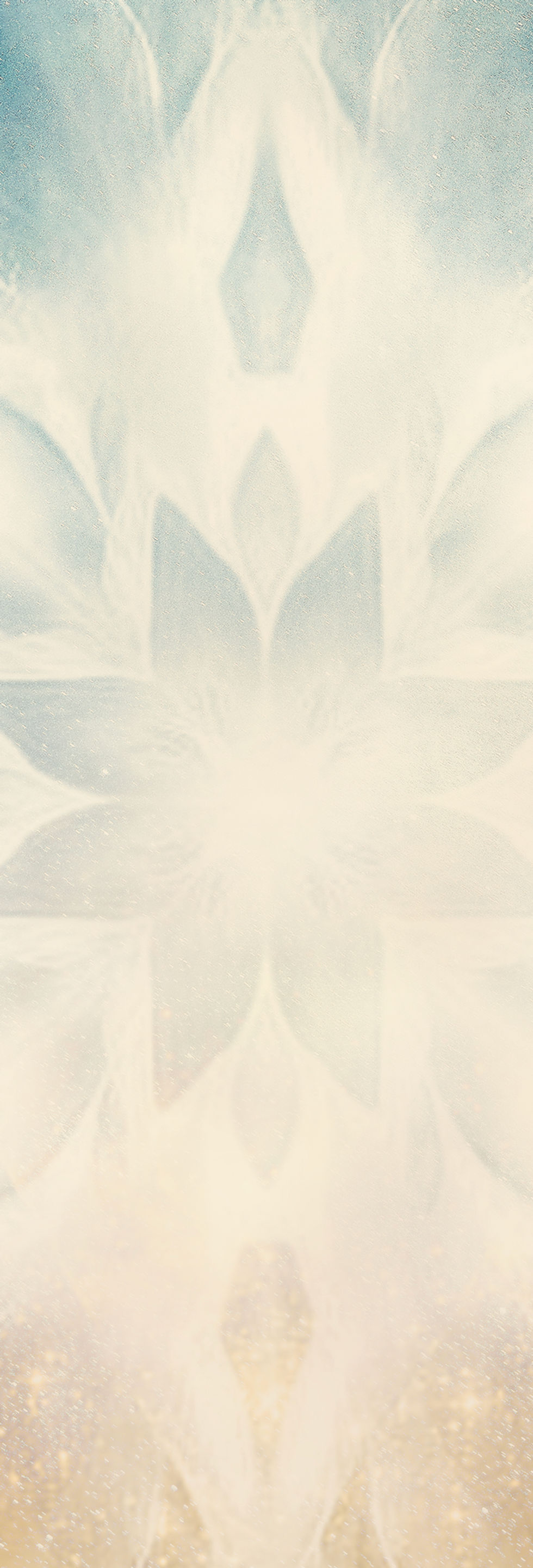 02_Visual_V1.jpg