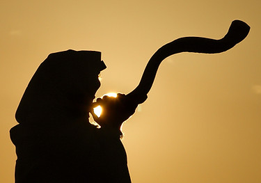 Silhouette of a Jewish man wearing a tal