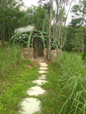 Meditation Structure, Treehouses Yao Noi