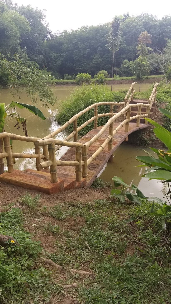 Bridge over the lake at Treehouses Yao Noi