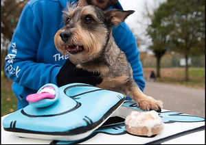 natural dog treats uk