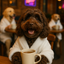 Writer: Ella Bella The Doggy CEO
