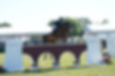 DSC08963.jpg