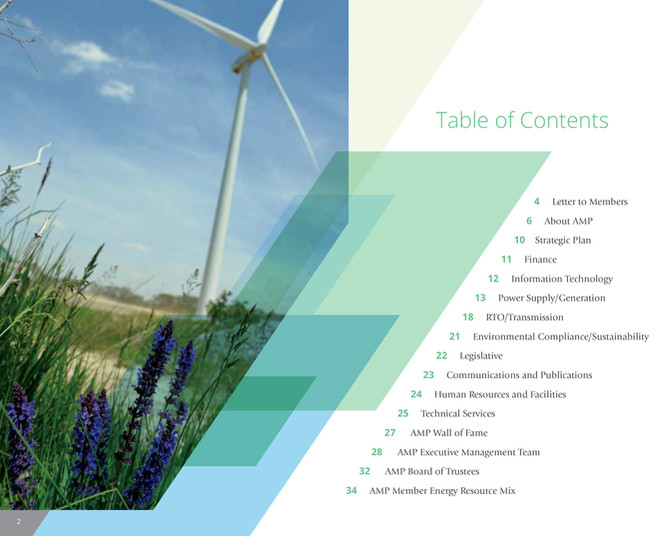 2017_amp_annual_report-2.jpg