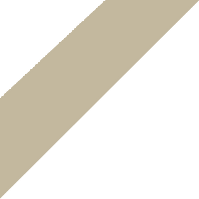forme_biseau-3.png