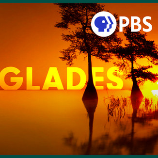 Everglades