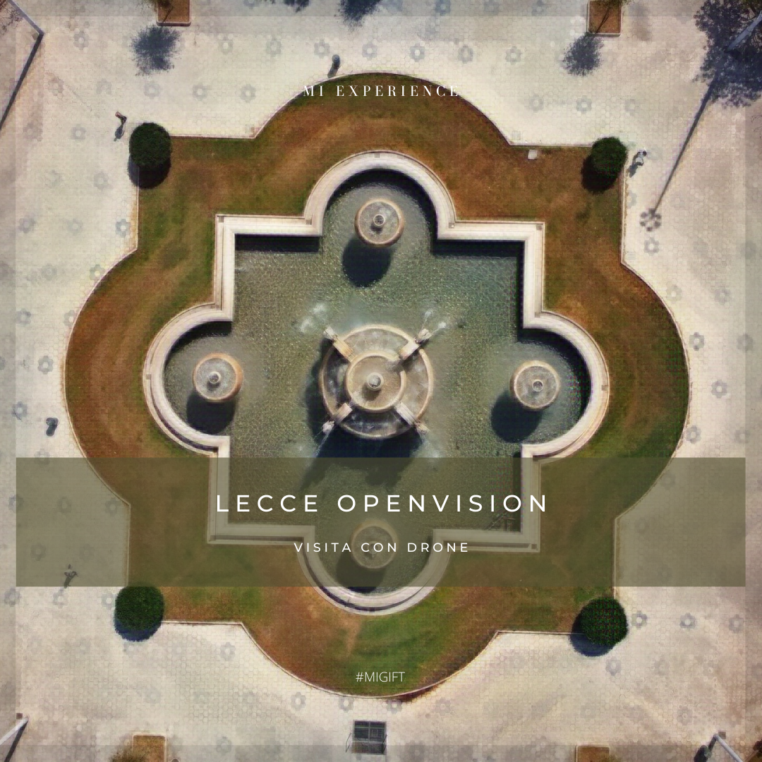 MIGIFT: Lecce OpenVision