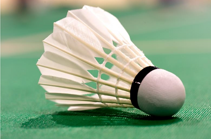 Shuttlecock