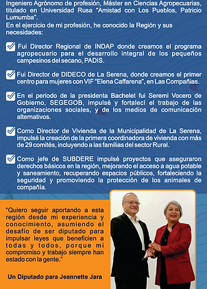 VolanteTras.png