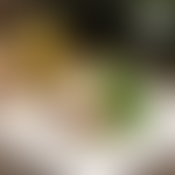 Cuentas de Instagram para foodies