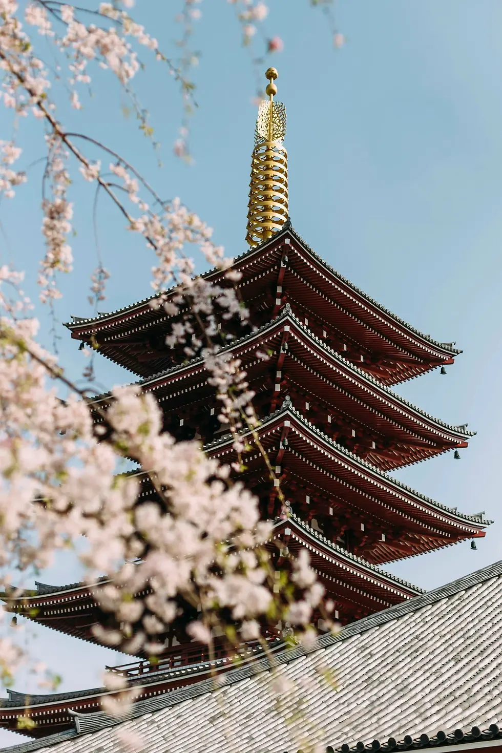 unsplash-image-xBnqIf2vy7M.webp