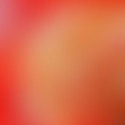 How what we see can trick us