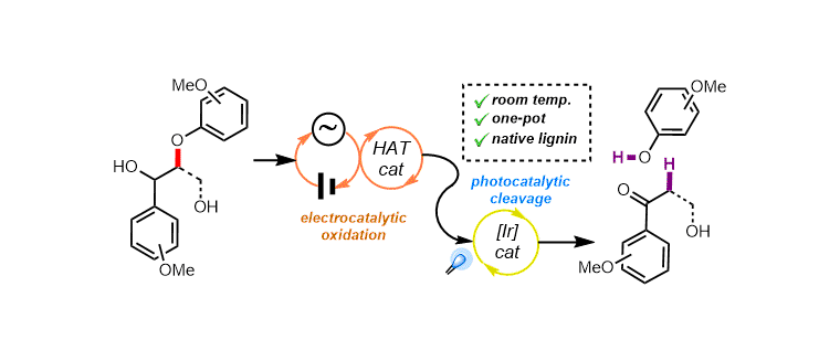 ACS_CentSci_GraphAbst.gif