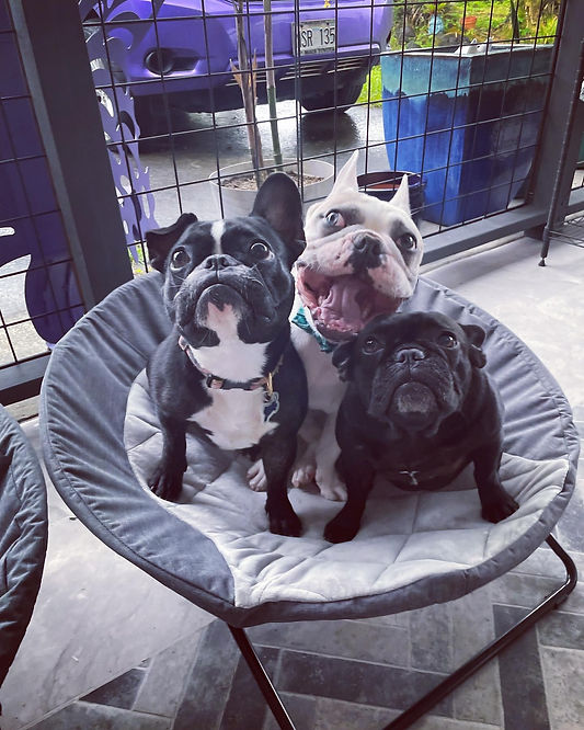 Three Musketeers.JPEG