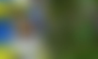 Вітаємо зі святом останнього дзвоника!