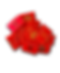 IMG_3317_lr.png