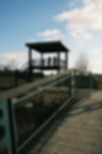 DSCF2149-Kopie_lr.jpg