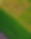 bg_1.jpg