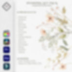 Miniatura: WEDDING LUTs - Complete Pack