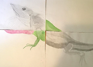 Anole, Mixed-Media, 2019