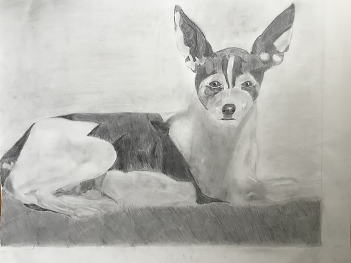Napoleon, Graphite, 20x10, 2020