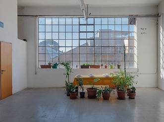 Paese fortuna, pic by Carlo Romano.jpg