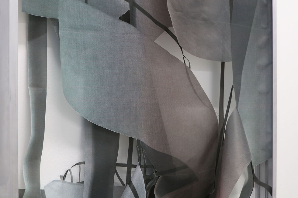 Miniature : Claudia Larcher, Collapse #8 / Villa Savoye (Série Collapse), 2018
