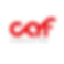 CAF Consulting V2.jpg