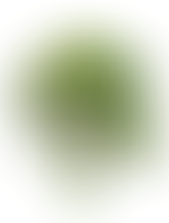 Kortverhaal Opa Mark