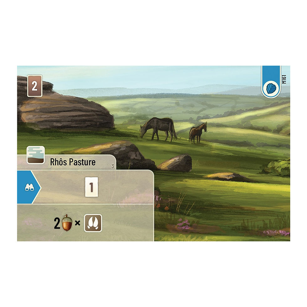 Thumbnail: Forest Shuffle: Dartmoor