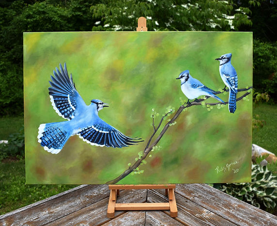 Ruby Blue Jays.jpeg