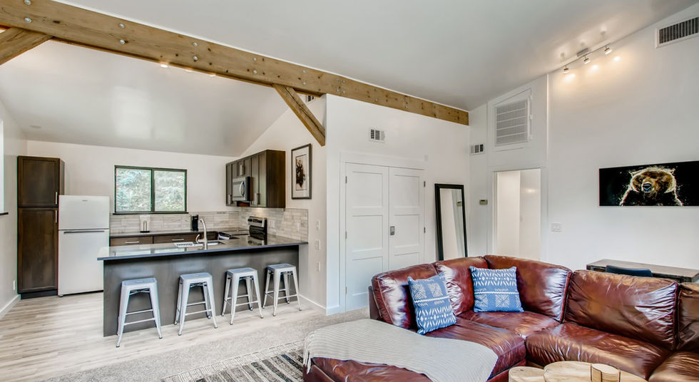 3303 Chicago Creek Road Idaho Springs CO - Web Quality - 013 - 15 Living Room.jpg