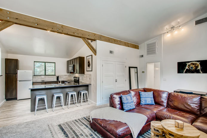 3303 Chicago Creek Road Idaho Springs CO - Web Quality - 013 - 15 Living Room.jpg