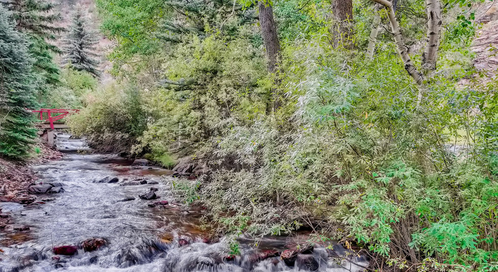 3303 Chicago Creek Rd Idaho Springs CO - Web Quality - 026 - 53 Creek.jpg