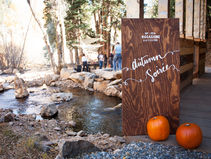 OCCASIONS AUTUMN SOIREE EVENT 2016