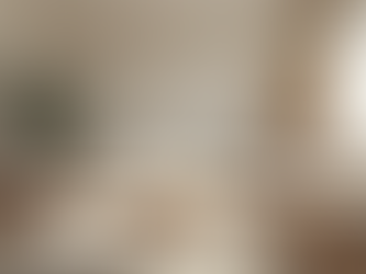 Calgary Realtor's Guide to Exceptional Home Staging Services