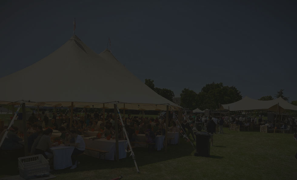 IMG_7737 3_edited_edited_edited_edited_edited.jpg