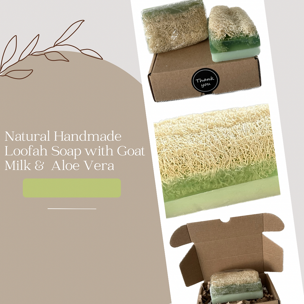 Thumbnail: Natural pumpkin fiber soap with goat milk & Aloe Vera