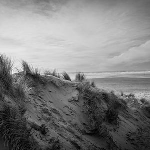 Photo black and white of UK beach grassy mound and sea view 